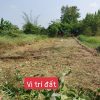 Bán đất Mỹ Lộc cần giuộc.