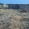 ĐẤT TRỒNG CÂY LÂU NĂM XÃ BÌNH CHÁNH.