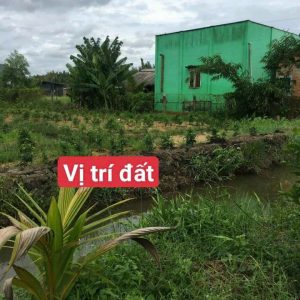 Đất vườn bến lức Tây Ninh. Phim mê đang